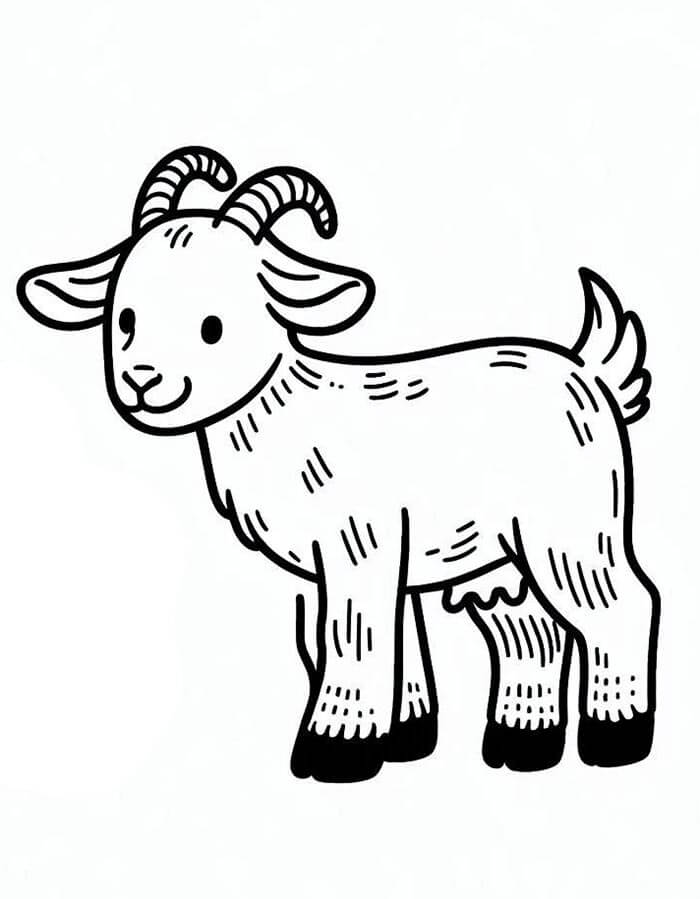 Capre da colorare