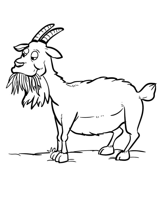 Capra da colorare