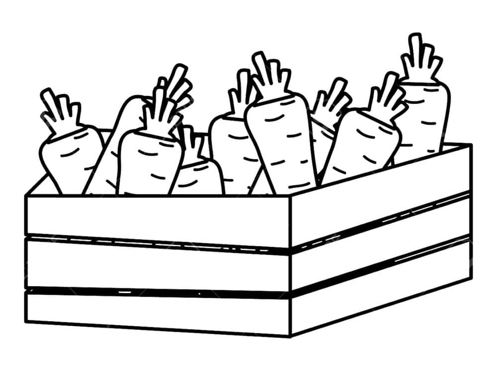 Carota (3) da colorare