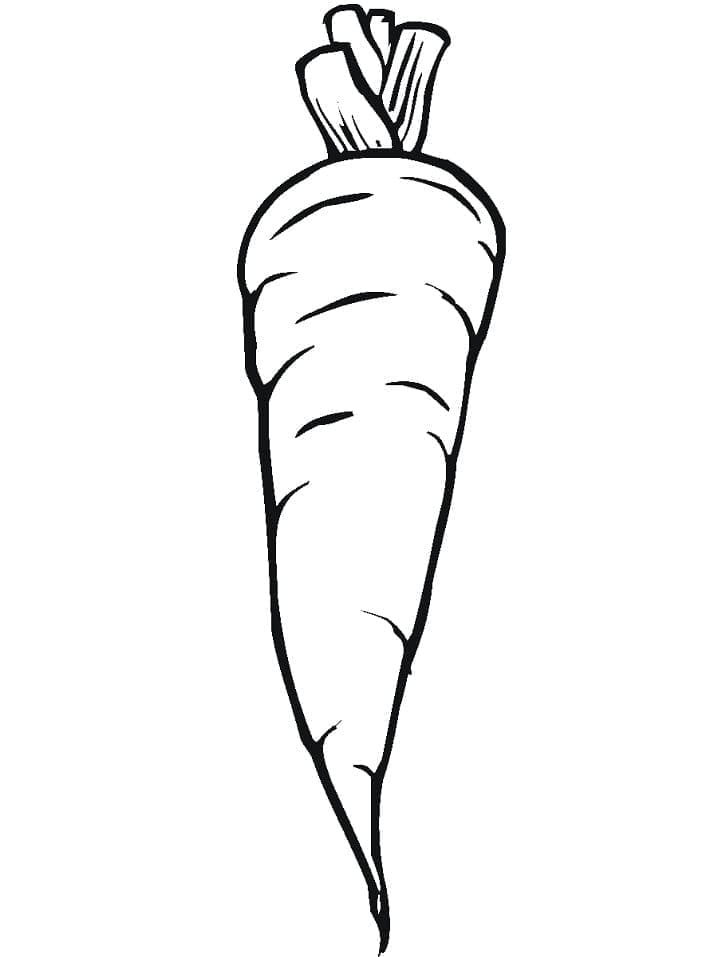 Carota per Stampare da colorare