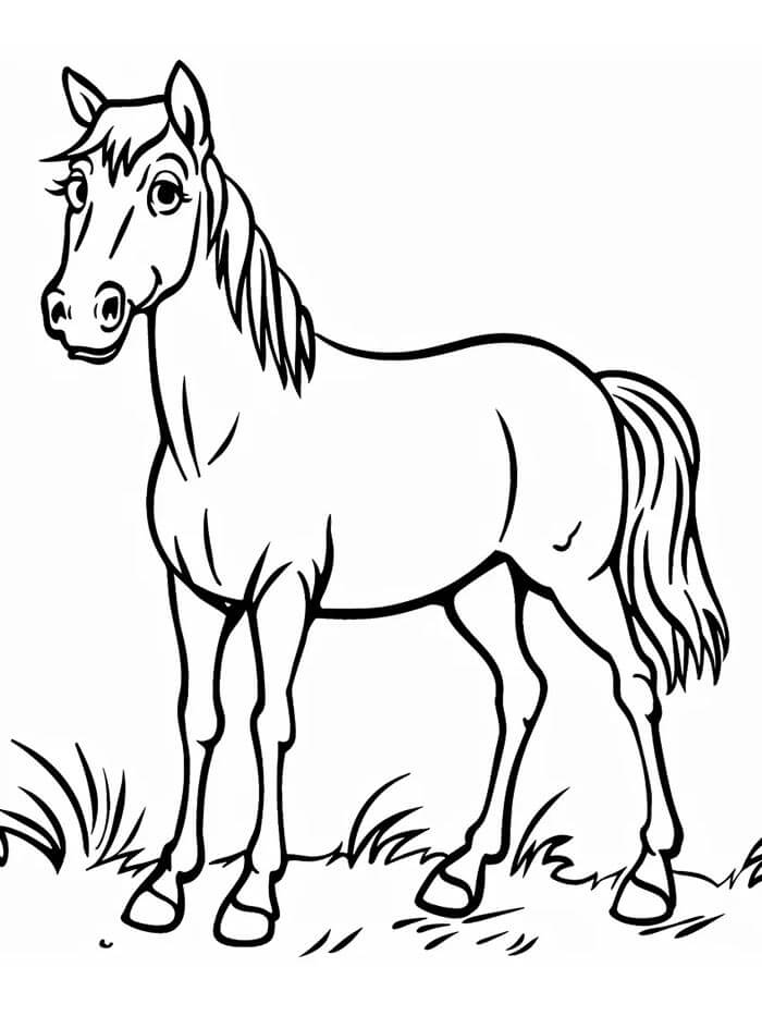 Cavallo per Bambini di 5 Anni da colorare