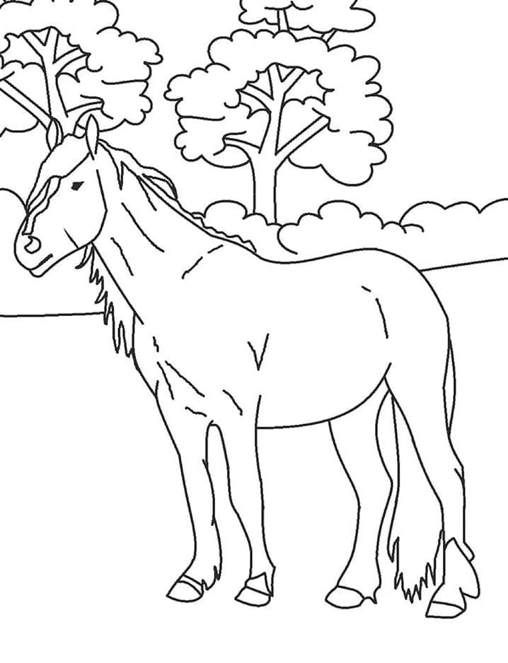 Cavallo da colorare