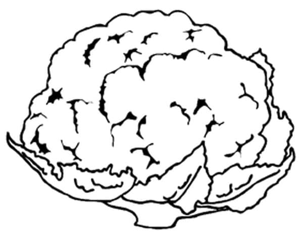 Cavolfiore Gratuito da colorare