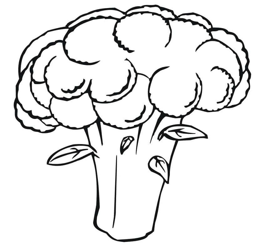 Cavolfiore Perfetto da colorare