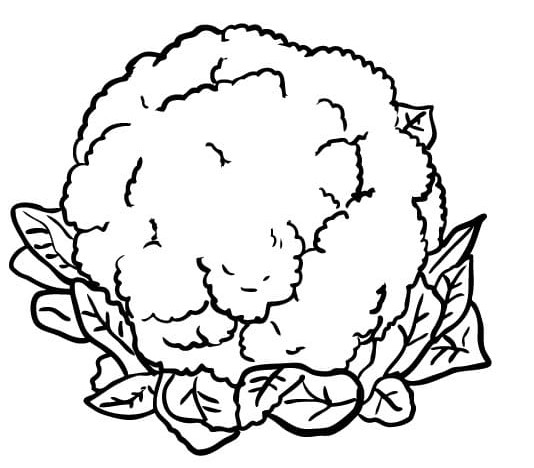 Cavolfiore Stampabile a Costo Zero da colorare