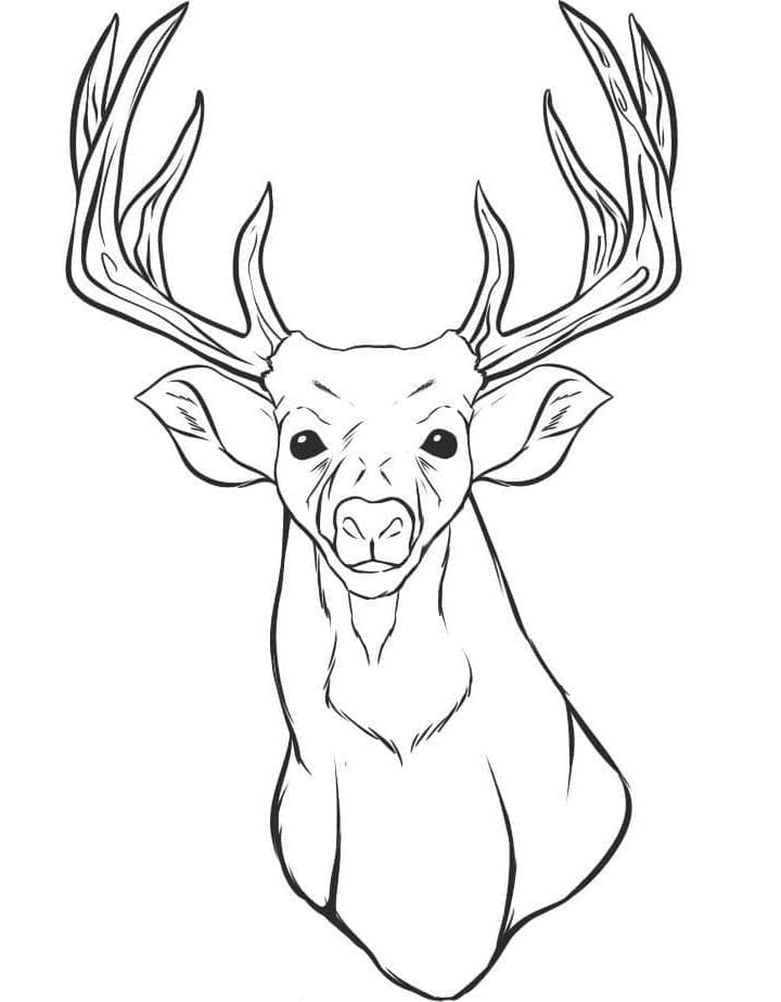 Cervo Gratis Stampabile da colorare