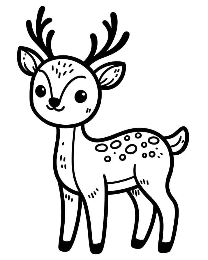 Cervo Gratuito da Stampare da colorare