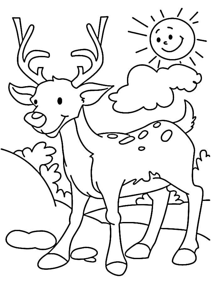 Cervo Stampabile Gratuito da colorare