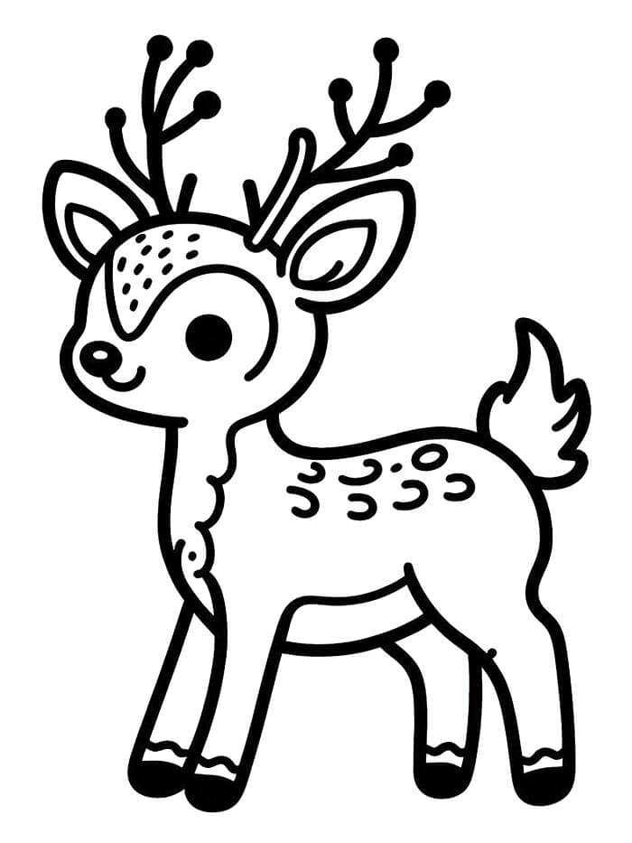 Cervo Stampabile per Bambini da colorare