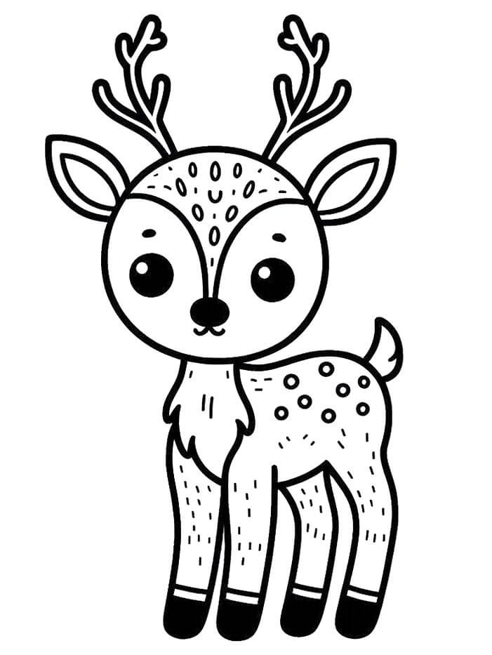 Cervo per Bambini di 3 Anni da colorare