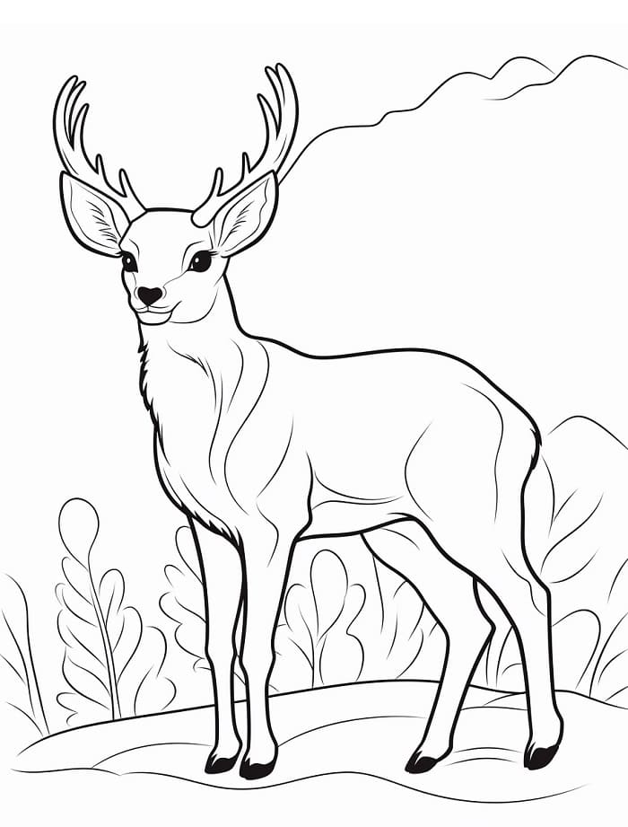 Cervo da colorare