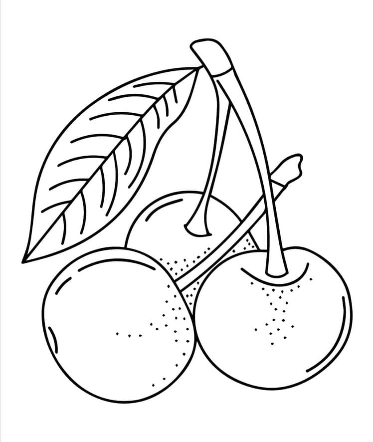Ciliegia 4 da colorare