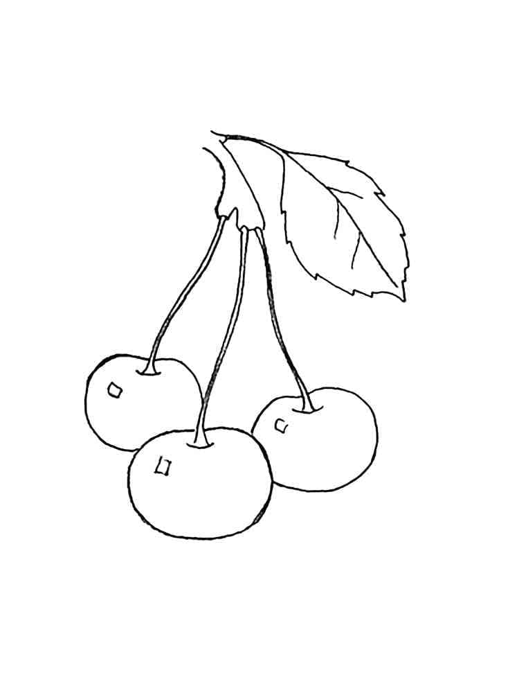 Ciliegia Base da colorare