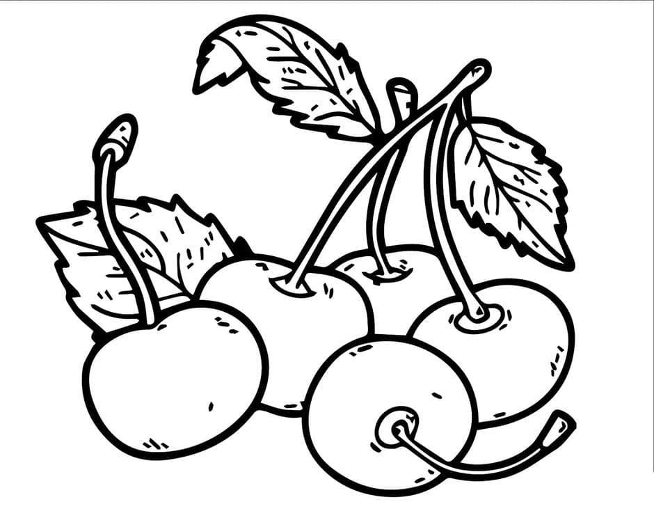 Ciliegia per Bambini di 6 Anni da colorare