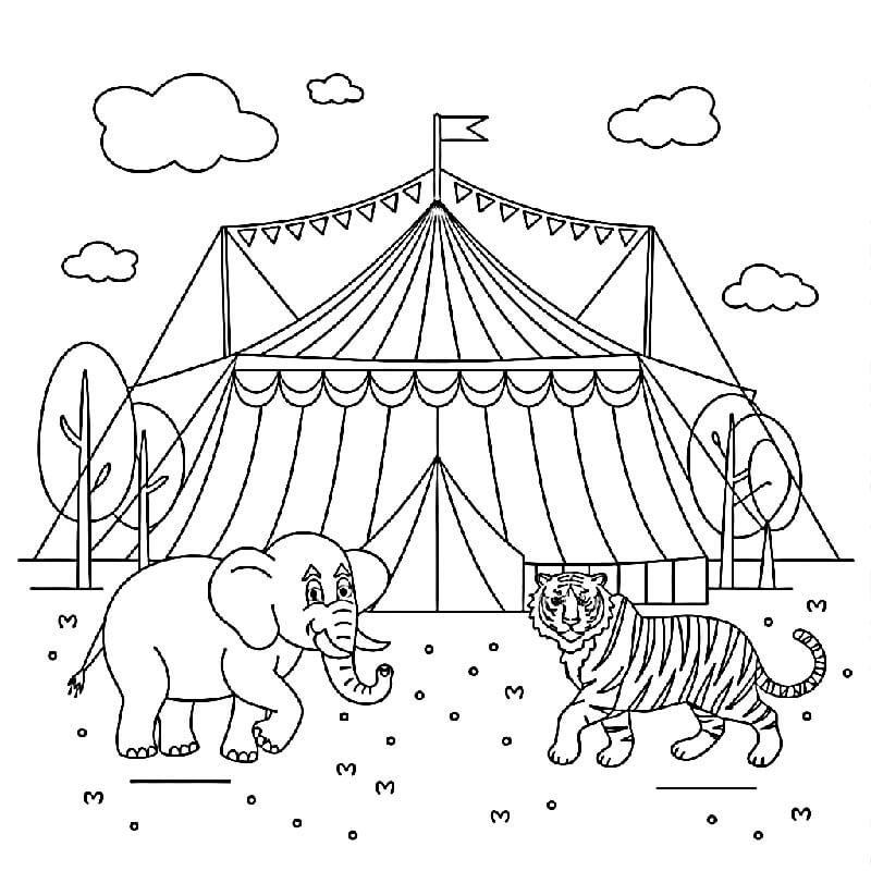 Circo per Bambini di 2 Anni da colorare