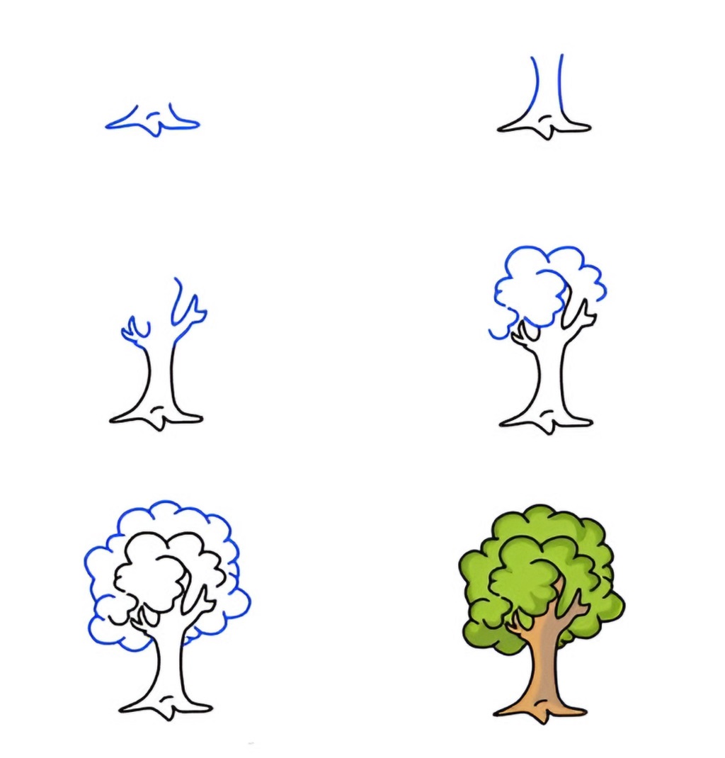 Come Disegnare un Albero: Guida Facile Passo Dopo Passo