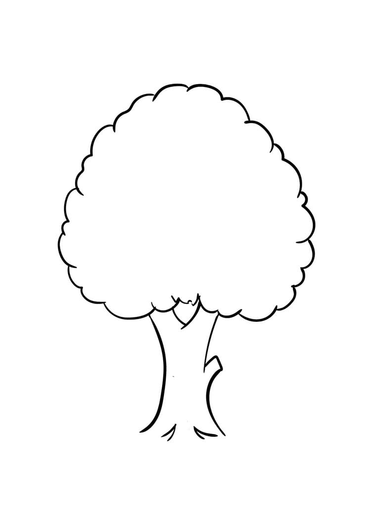 Come disegnare albero passo (4)