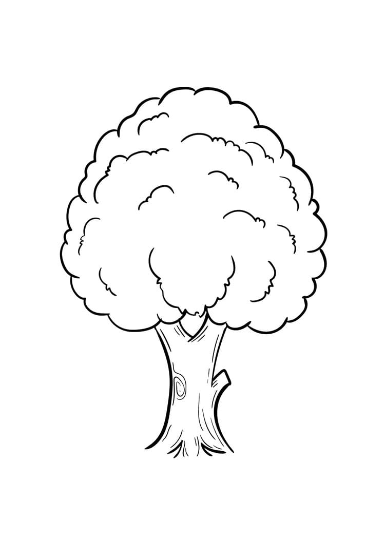 Come disegnare albero passo (6)