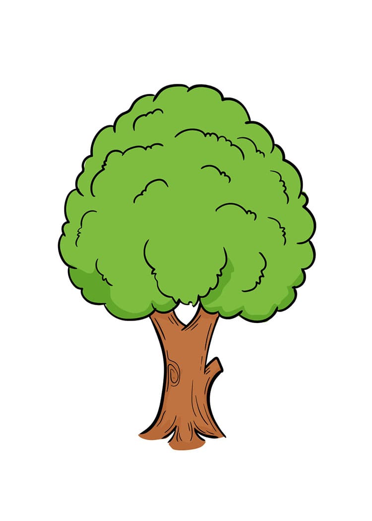 Come Disegnare Albero da colorare