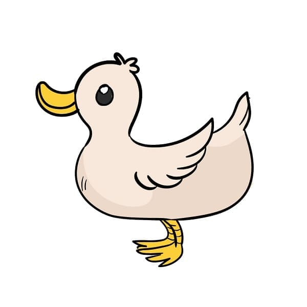 Come Disegnare Anatra da colorare