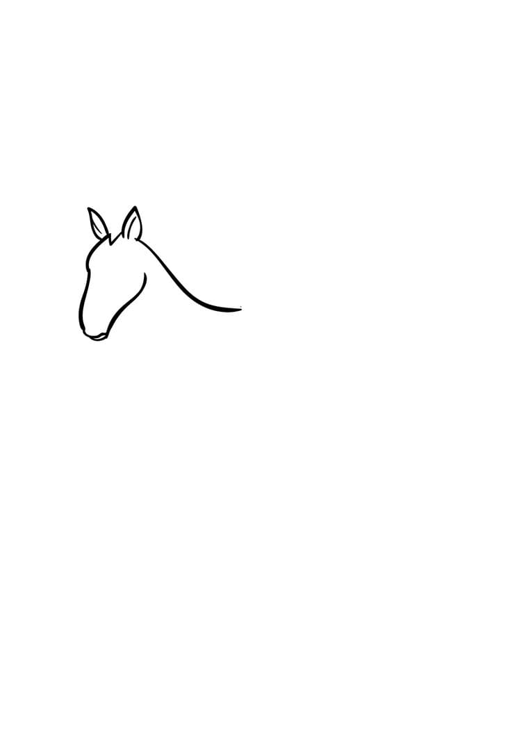 Come disegnare cavallo passo (1)