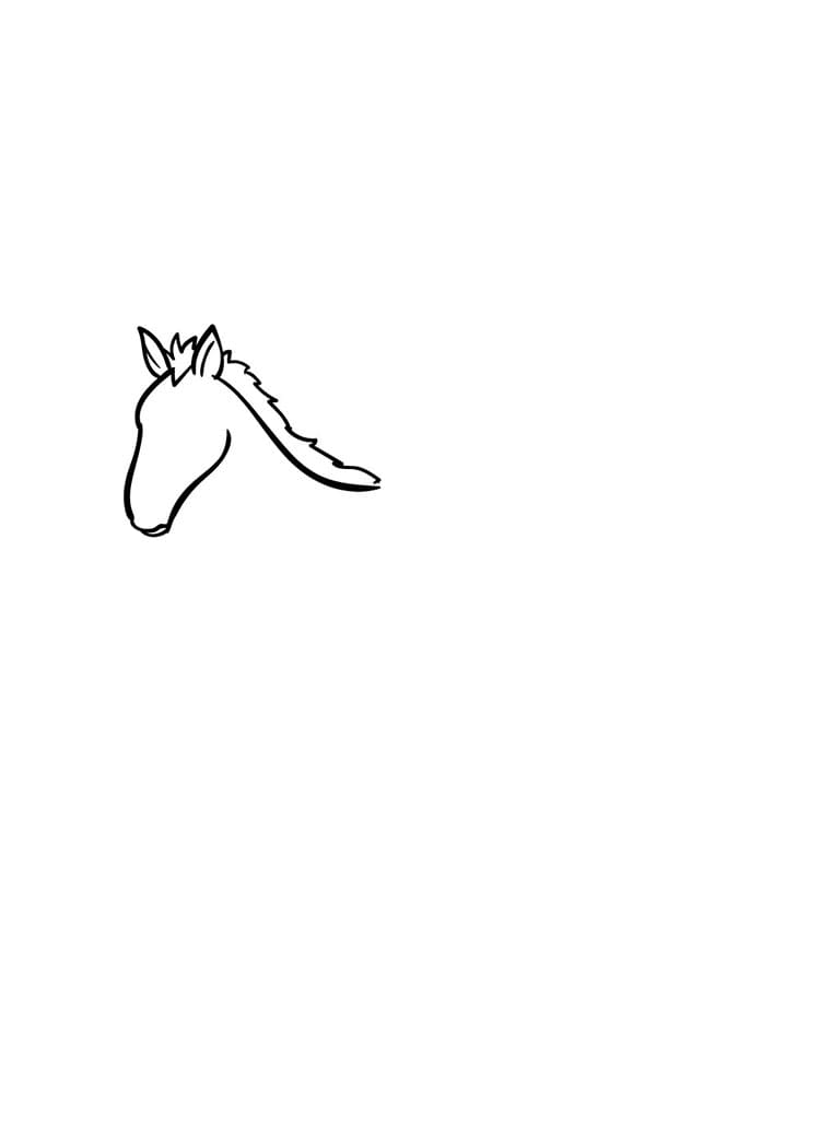 Come disegnare cavallo passo (3)