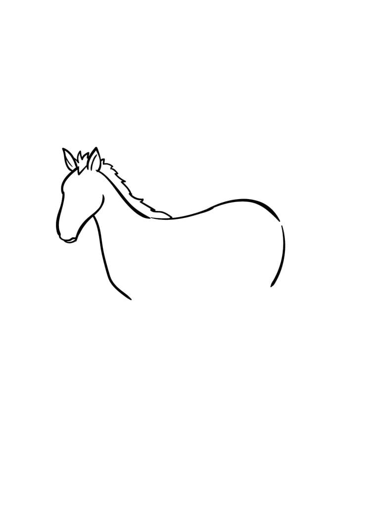 Come disegnare cavallo passo (4)
