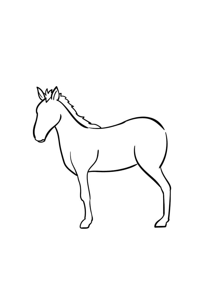 Come disegnare cavallo passo (5)