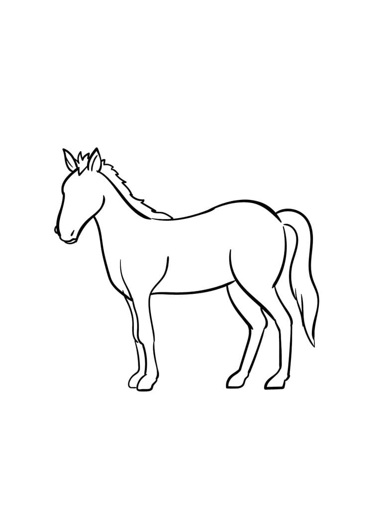Come disegnare cavallo passo (6)