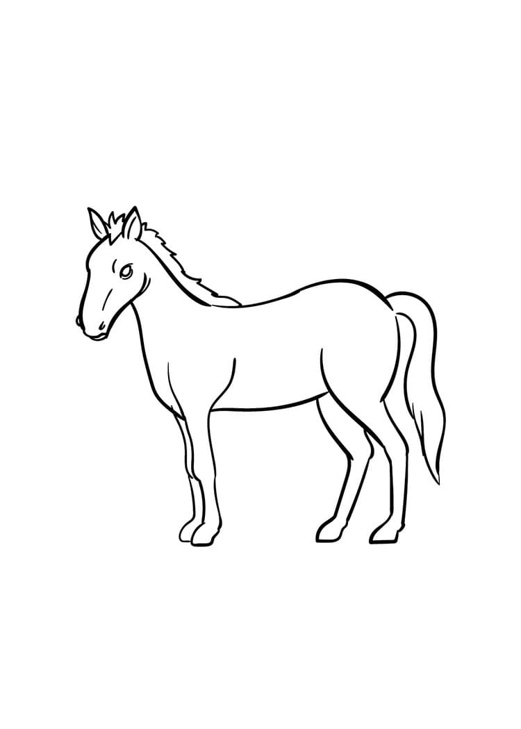 Come disegnare cavallo passo (7)