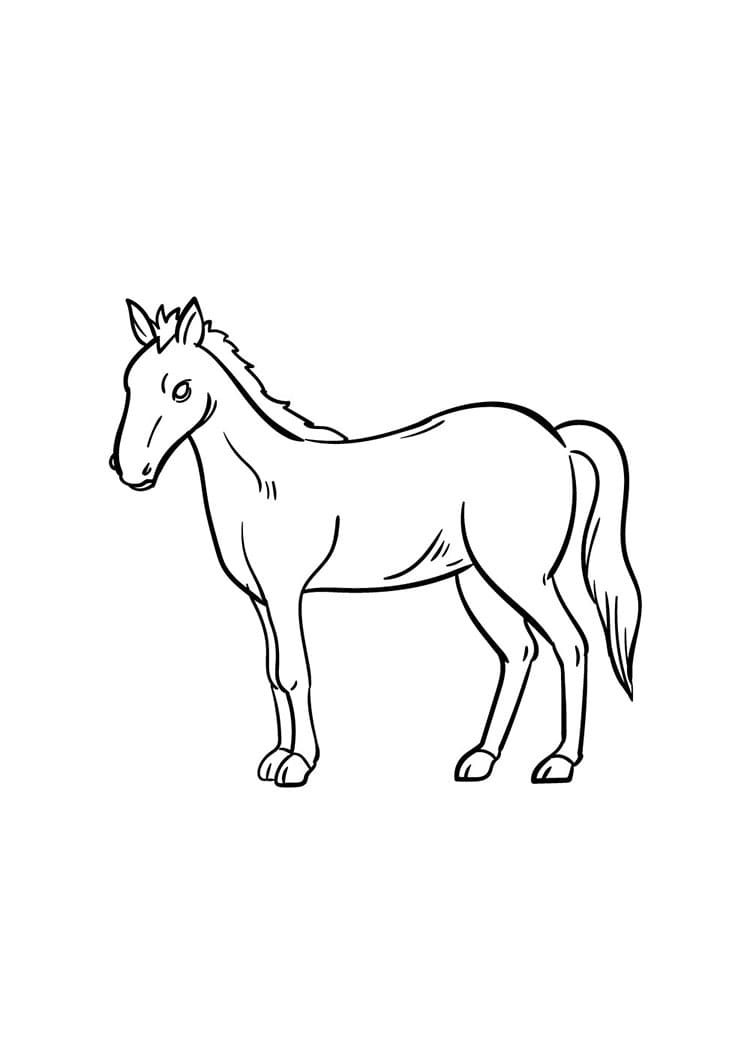 Come disegnare cavallo passo (8)
