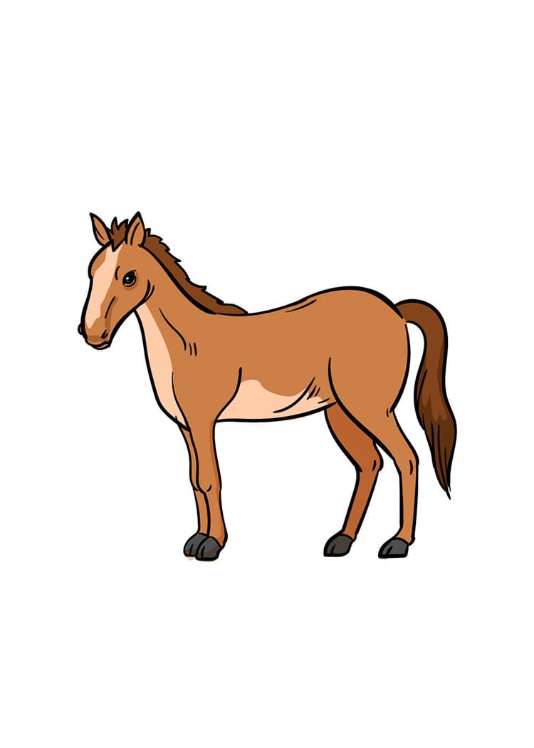 Come Disegnare Cavallo da colorare