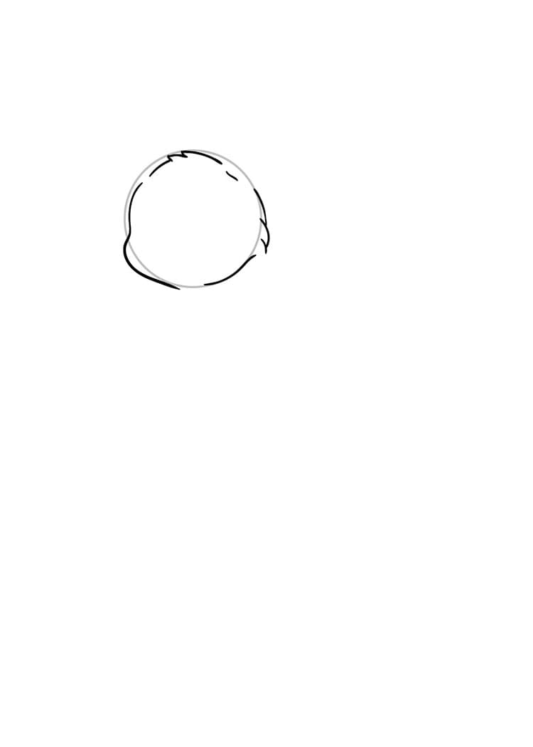 Come disegnare gatto passo (1)