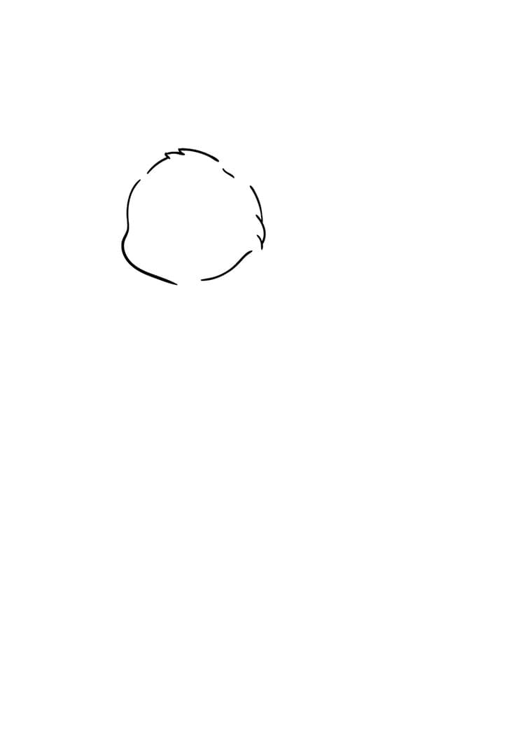 Come disegnare gatto passo (2)