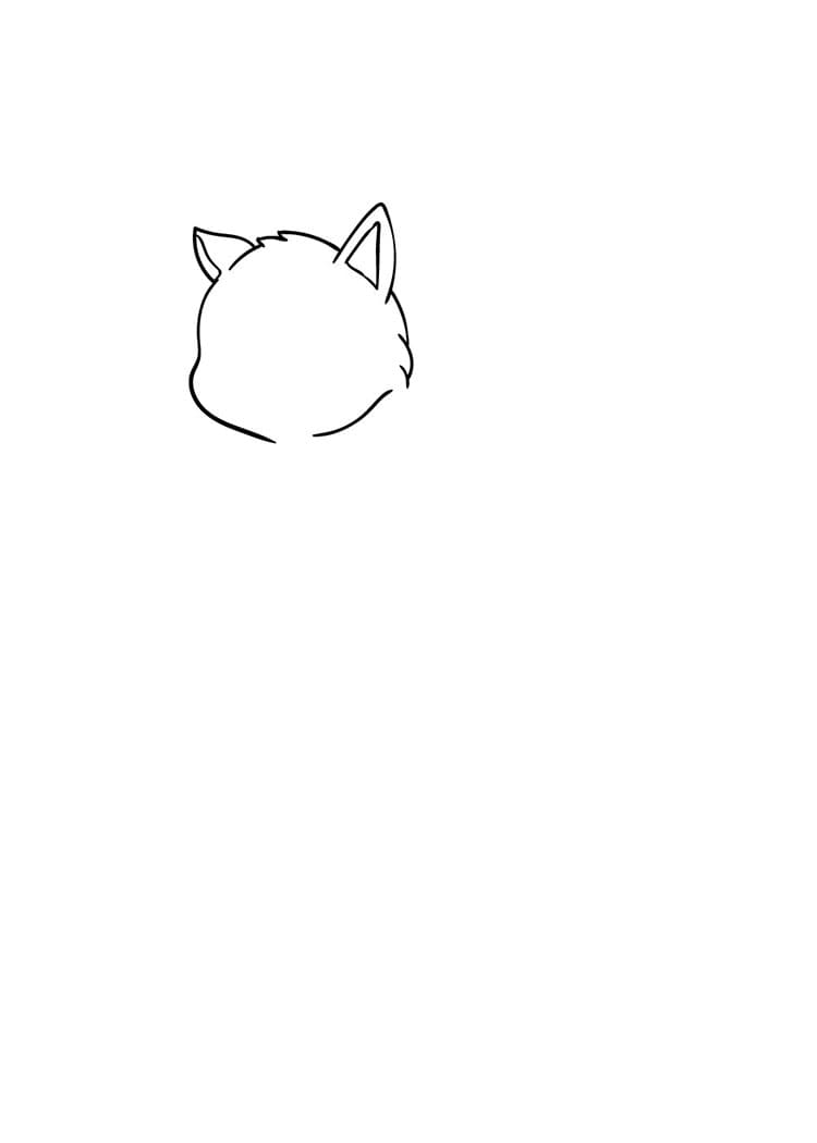 Come disegnare gatto passo (3)