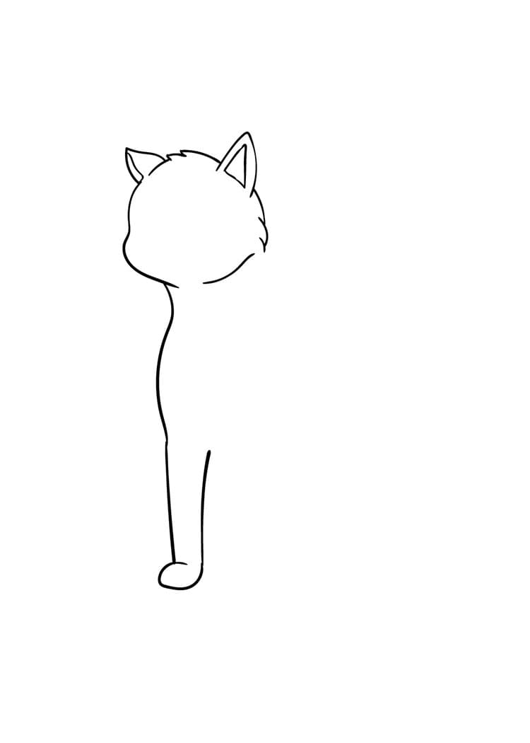 Come disegnare gatto passo (4)