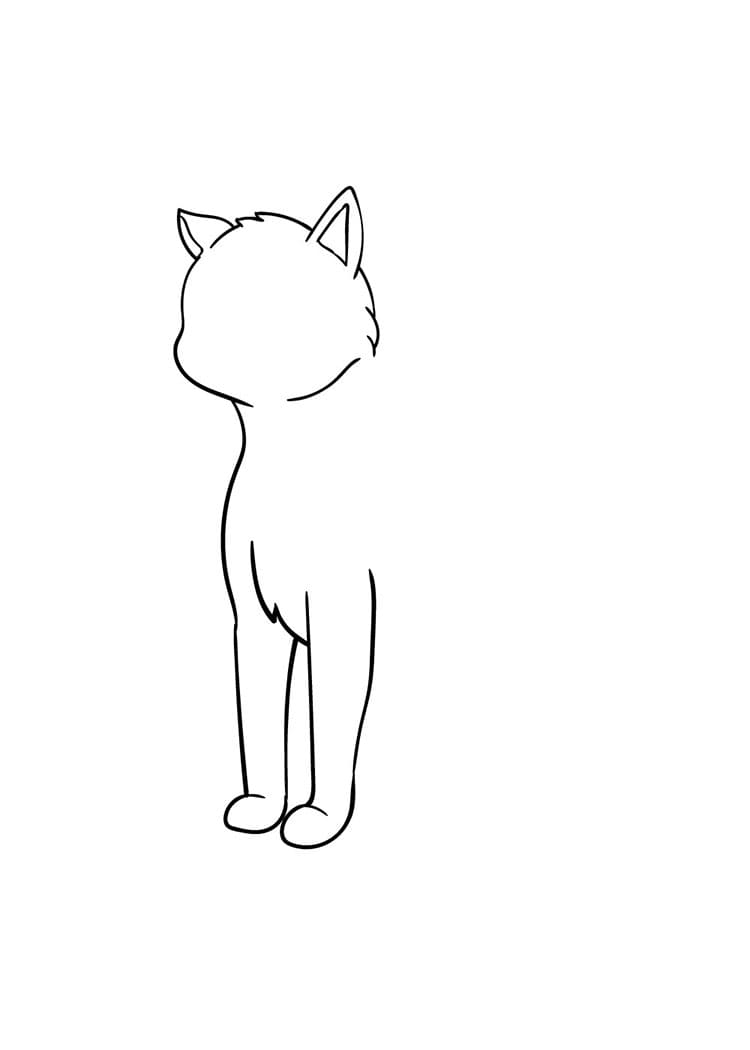 Come disegnare gatto passo (5)