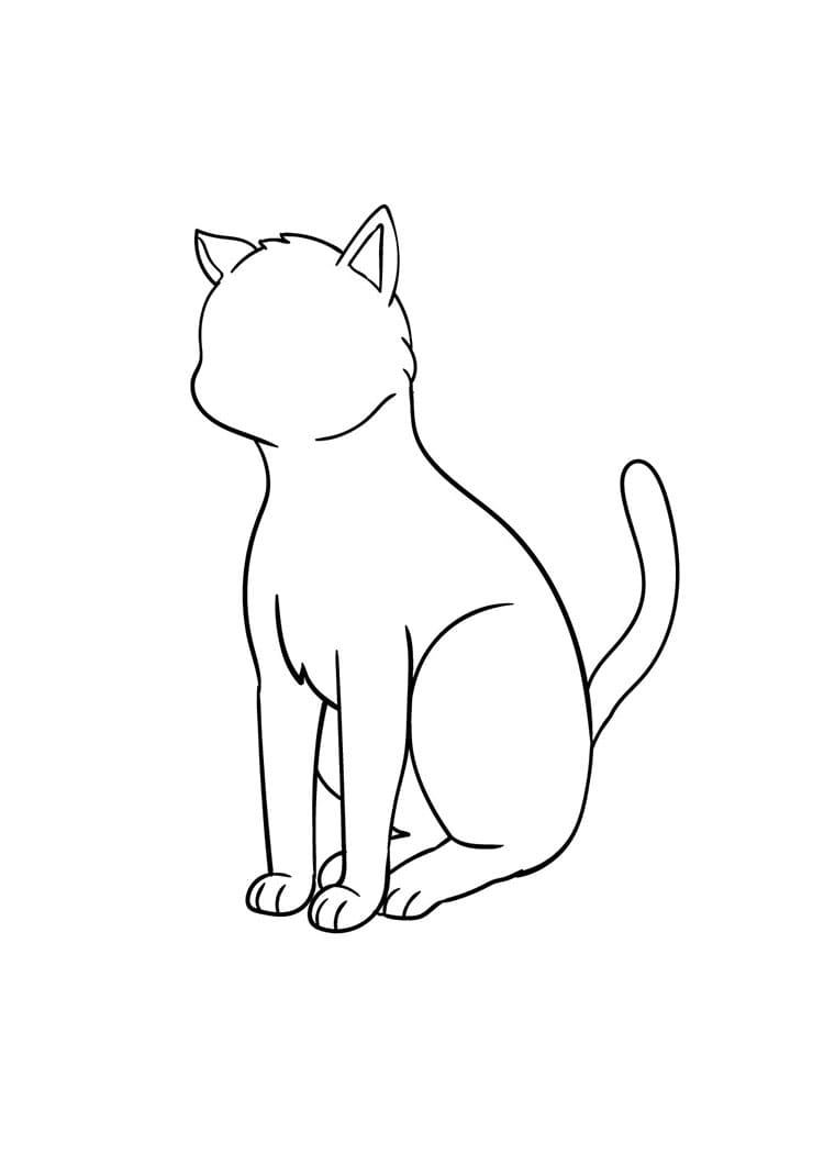 Come disegnare gatto passo (7)