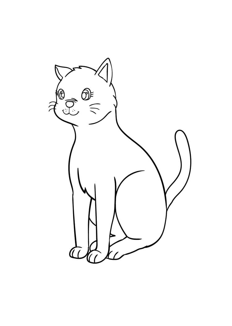 Come disegnare gatto passo (8)