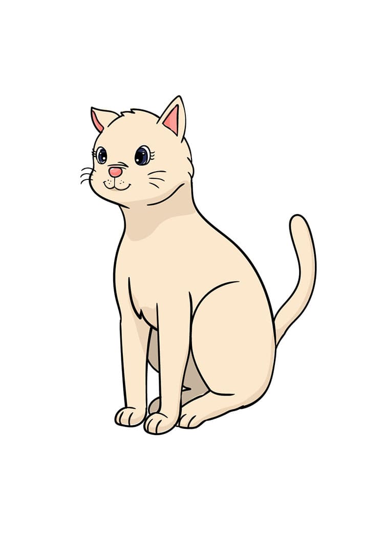 Come Disegnare Gatto da colorare