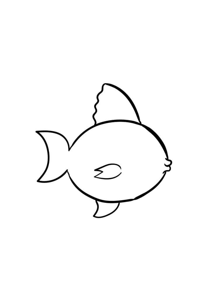 Come disegnare pescare passo (4)