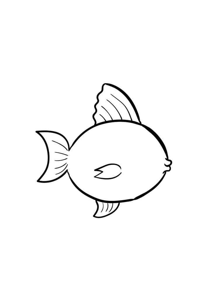 Come disegnare pescare passo (5)