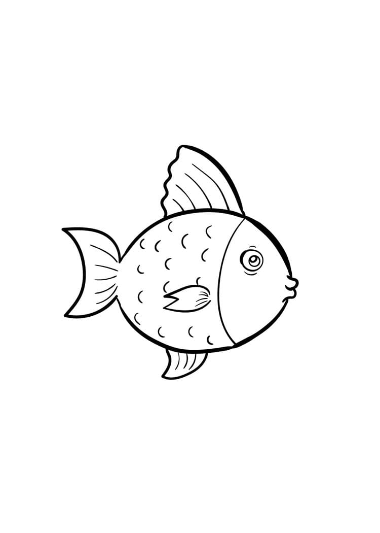 Come disegnare pescare passo (6)