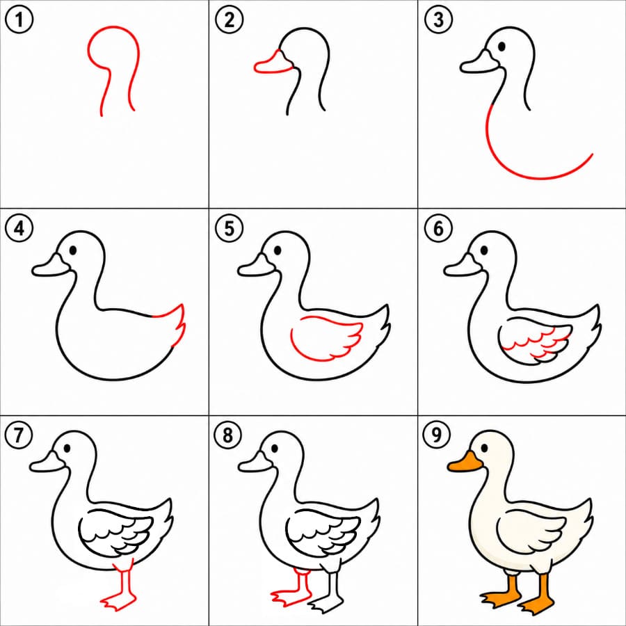 Come Disegnare un’Anatra: Dal Primo Tratto al Disegno Finito