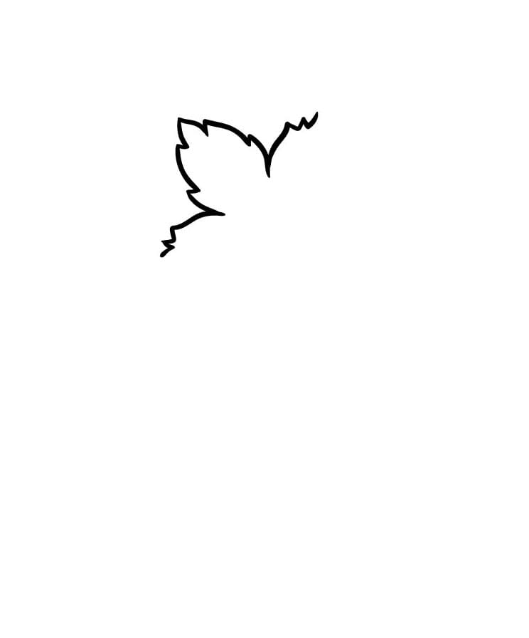 Come disegnare uva passo (1)