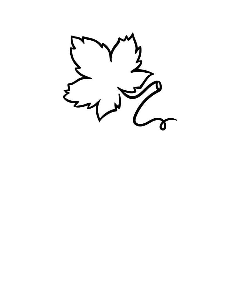 Come disegnare uva passo (3)