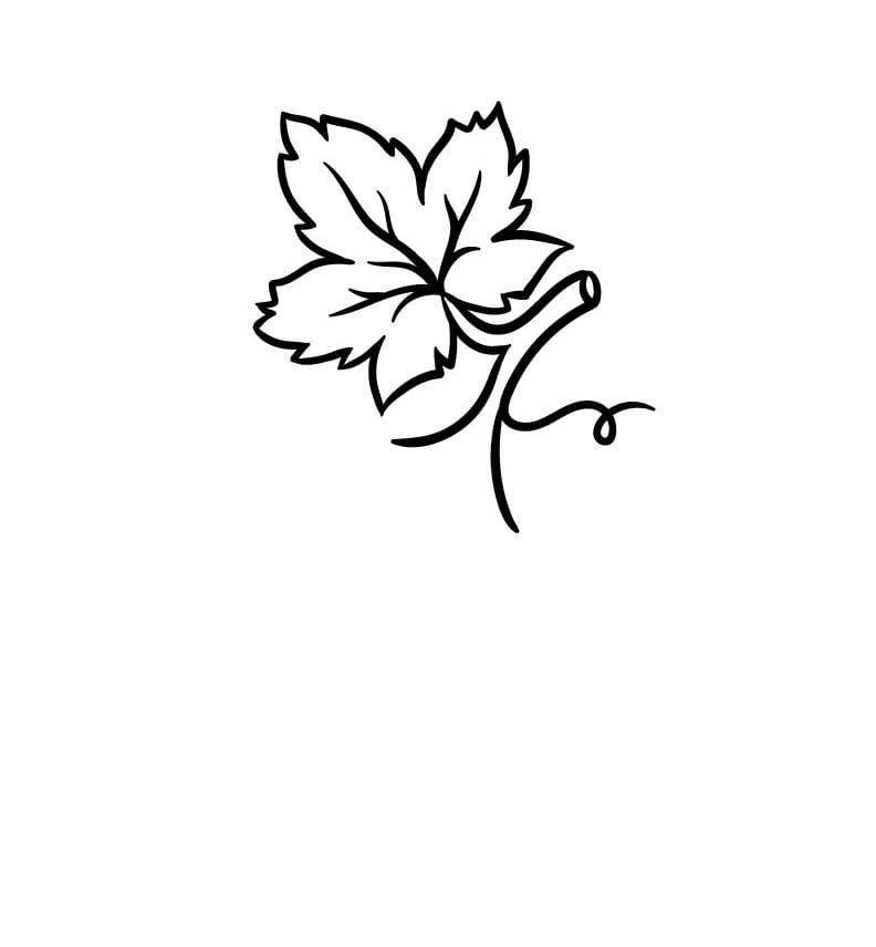Come disegnare uva passo (4)