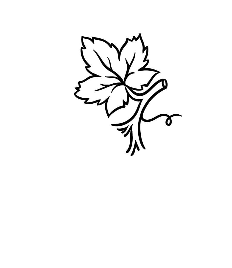 Come disegnare uva passo (5)