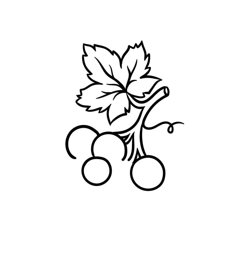 Come disegnare uva passo (6)