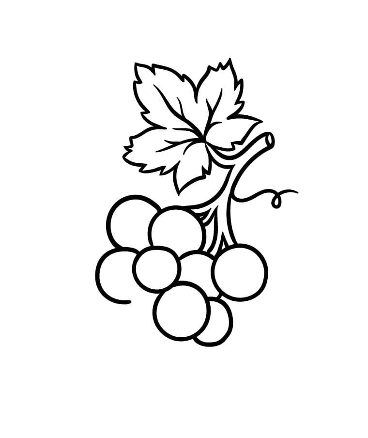 Come disegnare uva passo (7)